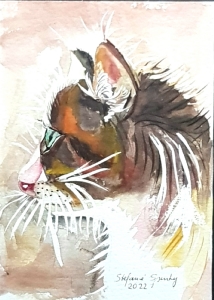 Katzenportrait3